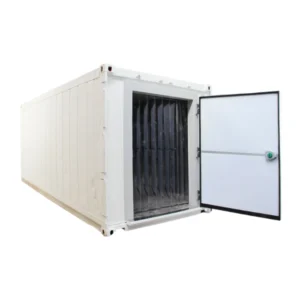 Container frigorifique